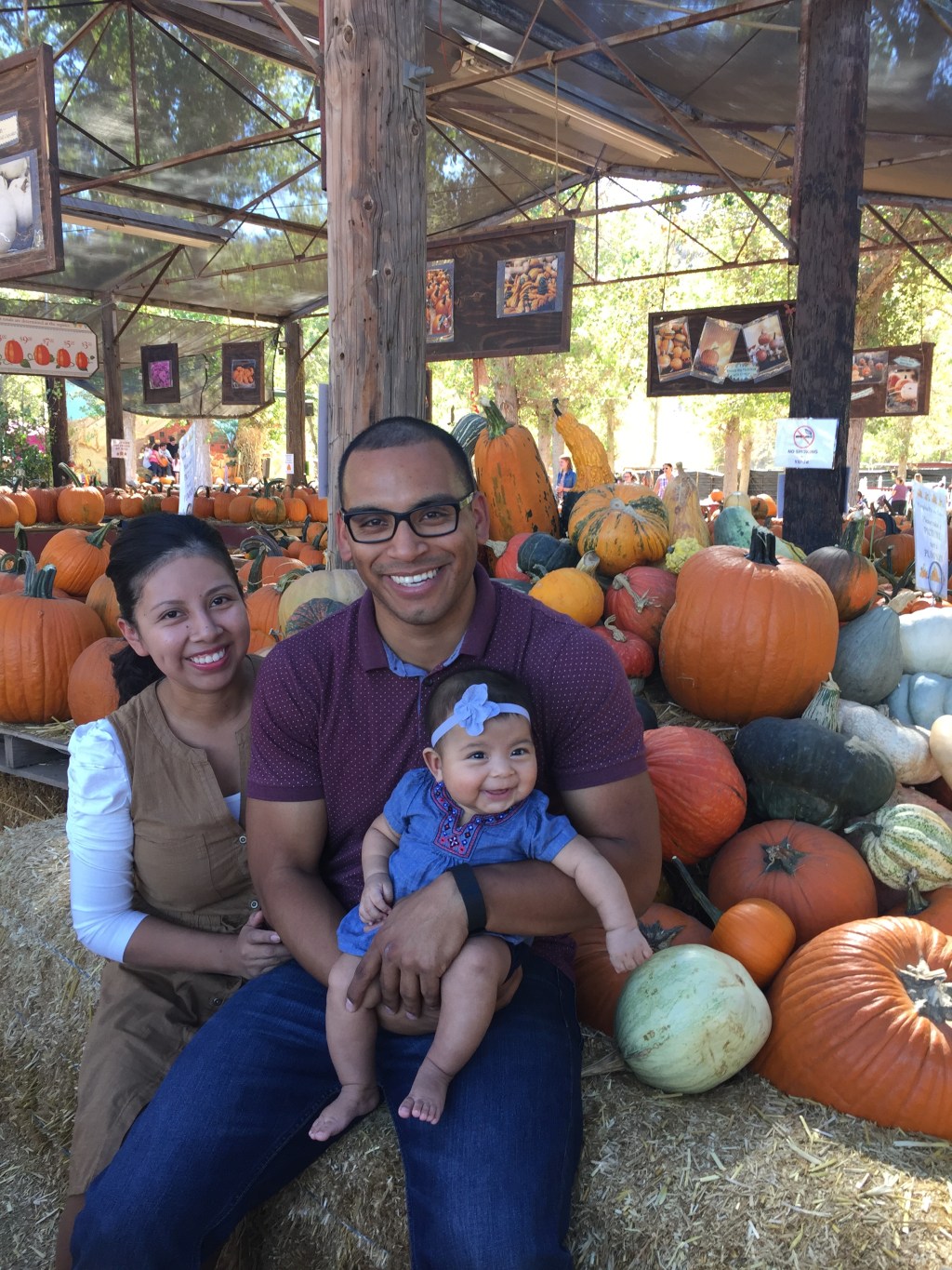 Pumpkin Patch